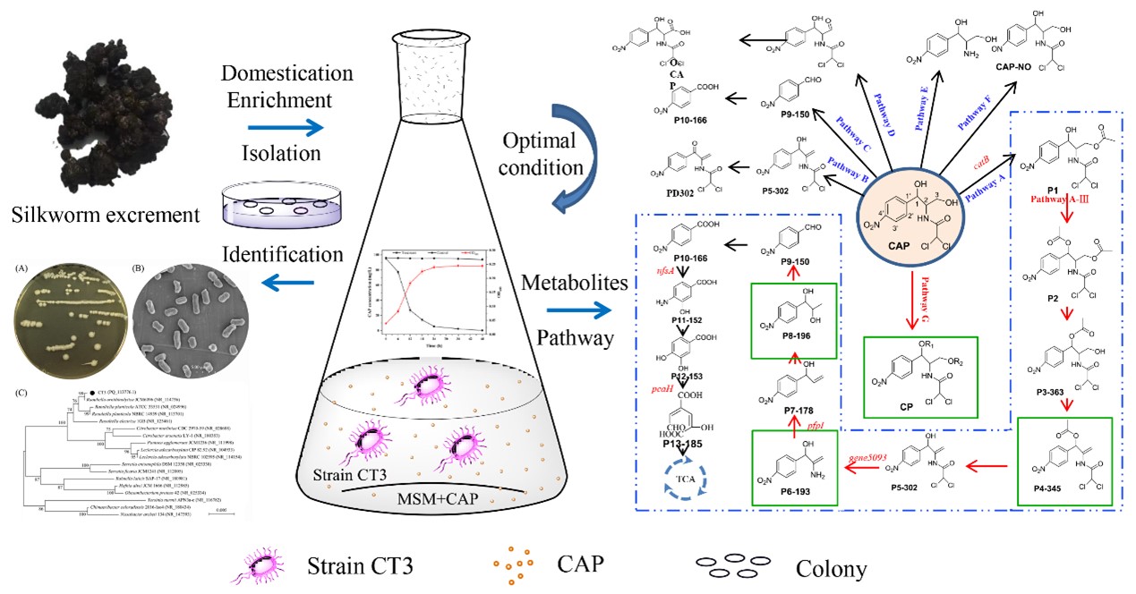 1730168533956470.jpg 图片2.jpg