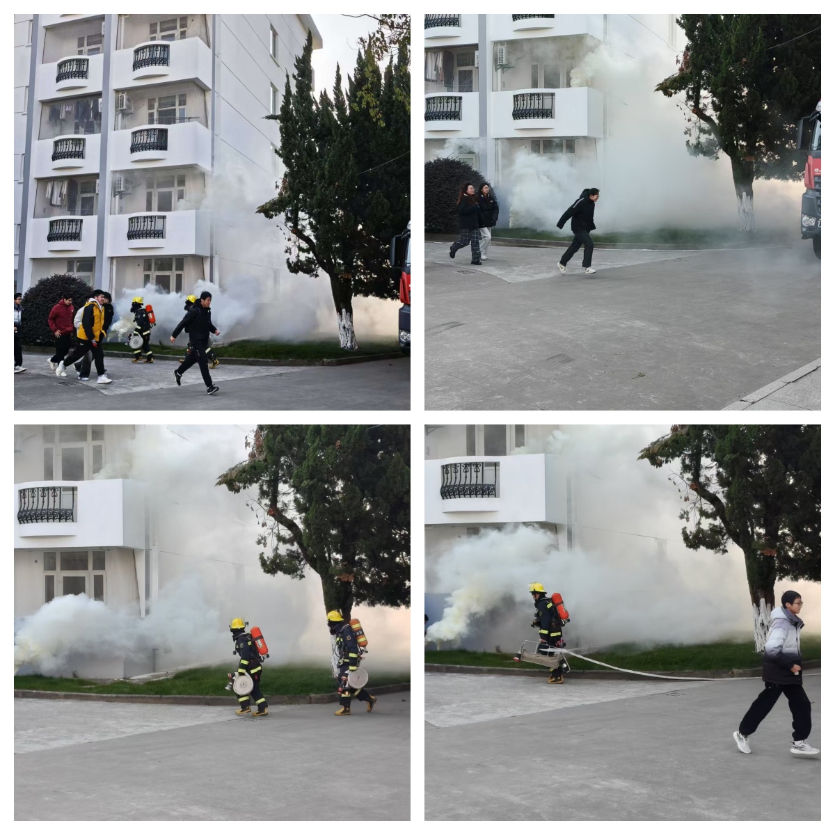 1735550355695104.jpg 1.jpg