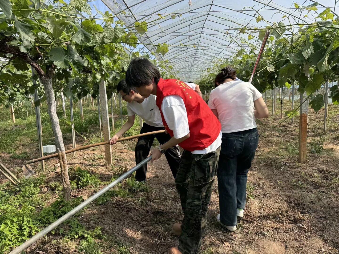 1745715168967621.jpeg QQ图片20250426165447(21).jpeg