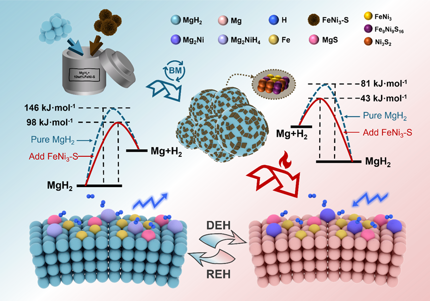 1731896816568037.png image.png