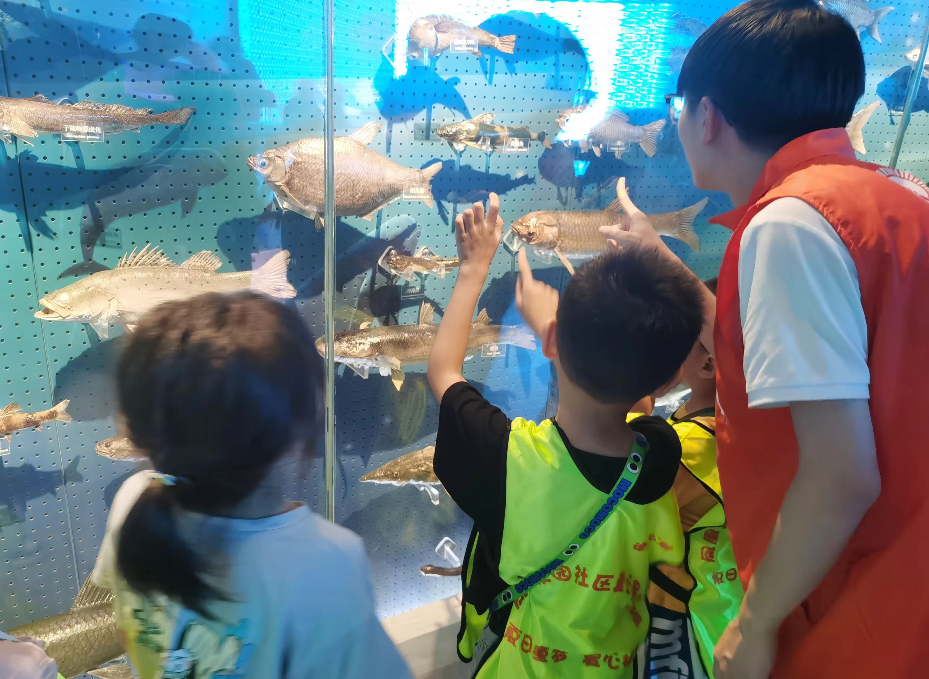 1722589298462284.jpg 微信图片_20240802165901.jpg