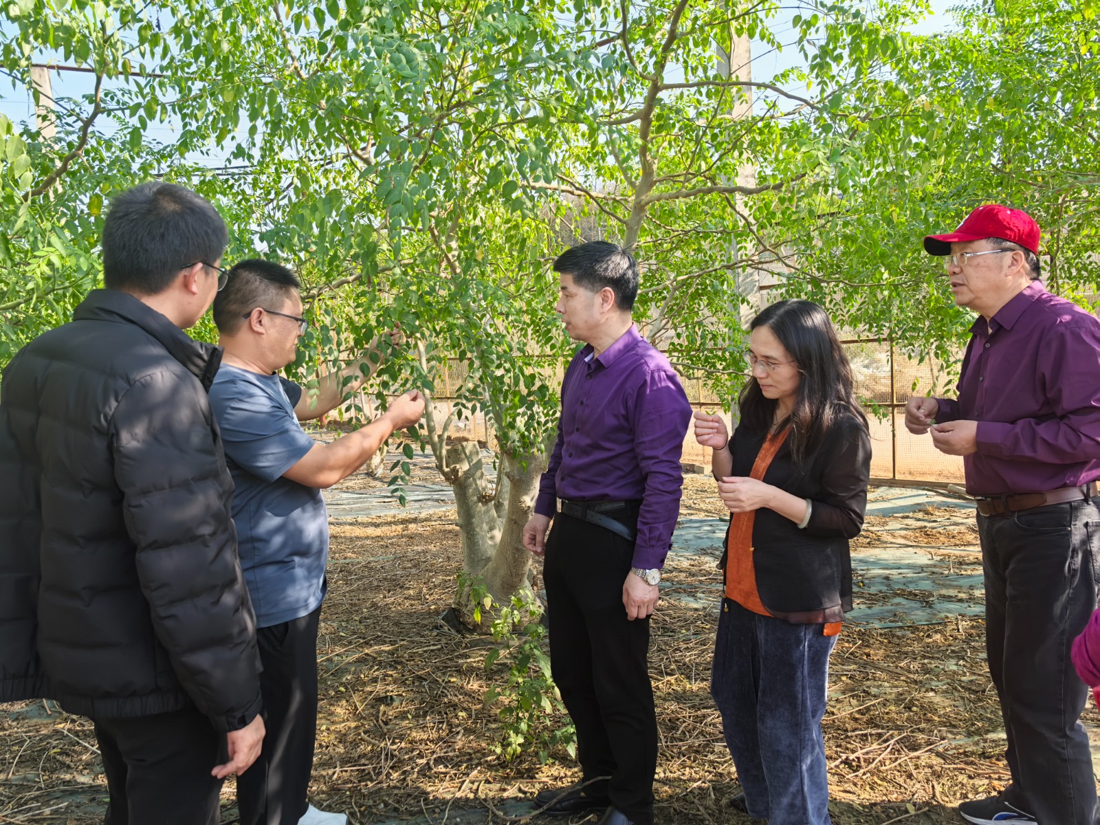 1737265960233148.jpg QQ图片20250119135150.jpg