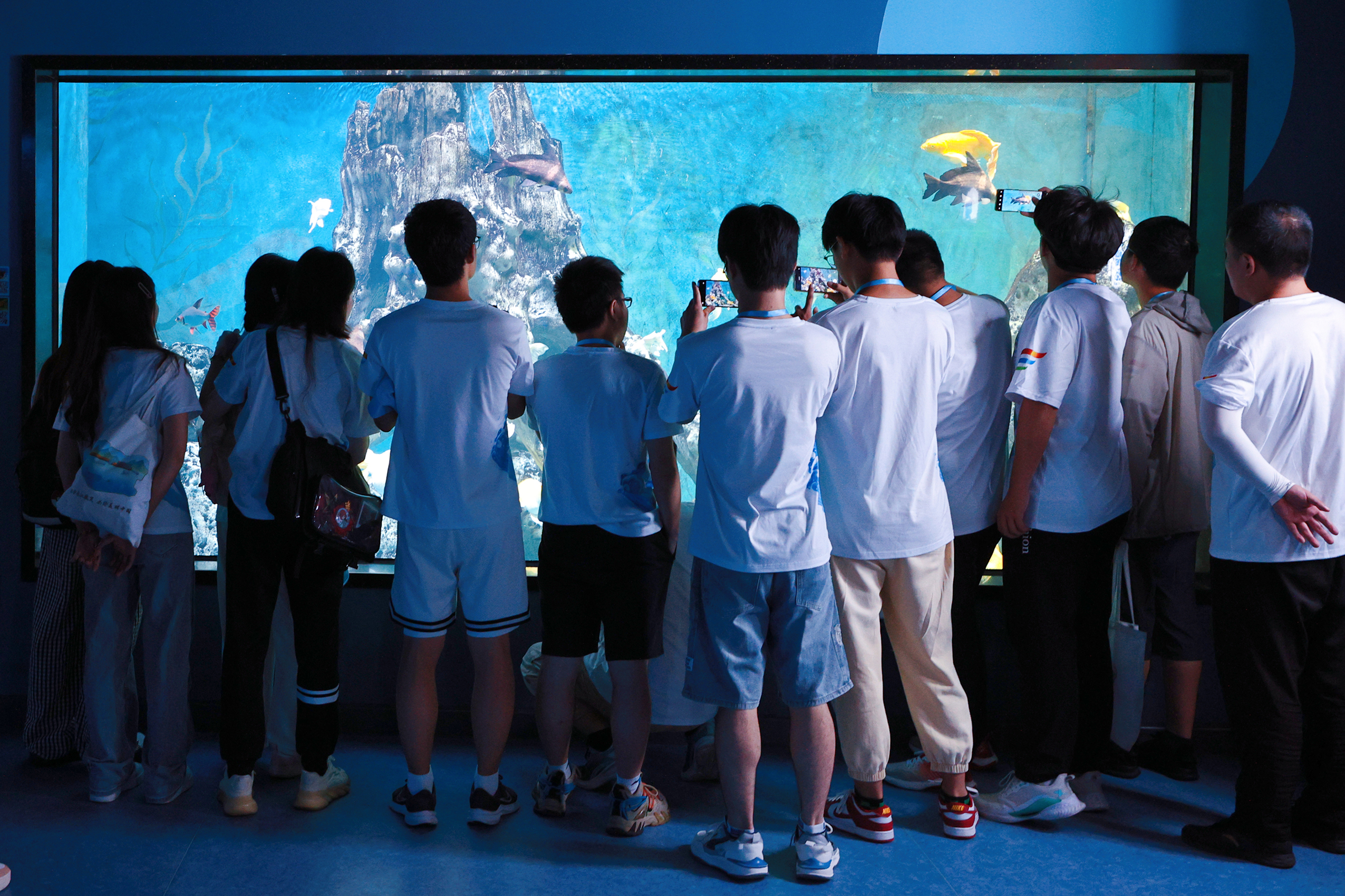 1722648807315687.jpg 05.jpg